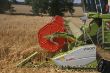 Claas Lexion 4_ Kopie.jpg