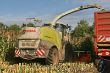 Claas Jaguar 930.jpg