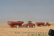Grain cards Case IH Steiger 485.jpg