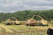 BigX_Maissilage_05.jpg