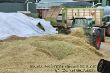BigX_Maissilage_13.jpg