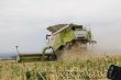 Claas Lexion 770 TerraTrac_12.JPG