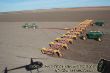 John Deere 9400 mit 65 Meter Airseeder.jpg