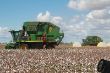 John Deere Baumwollernter.jpg
