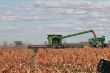 John Deere_Sorghum_01.JPG