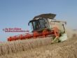 Claas Lexion 600 mit 9m Schneidwerk
