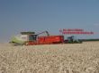 Lexion 600 und Fendt 920 beim Abbunkern