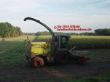Claas Jaguar 890 Green-Eye.jpg