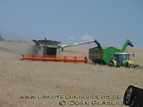 1 Rapsdreschen J 6 Kopie.jpg
