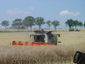 2 Rapsdreschen J 2 Kopie.jpg