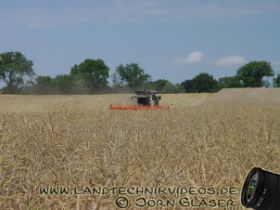 3 Rapsdreschen J 3.jpg