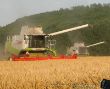 13 Lexion 580 und 480.JPG