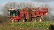 Rübenerntetechnik_14.JPG