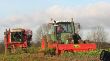 Rübenerntetechnik_21.JPG